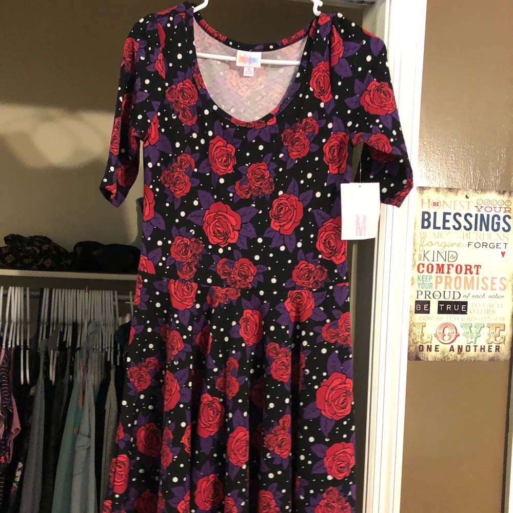 Lularoe Nicole dress